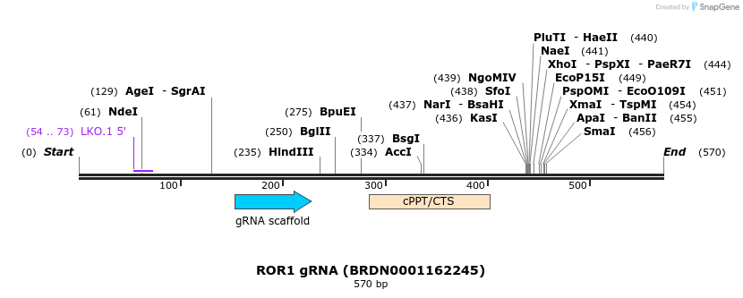 185069_map
