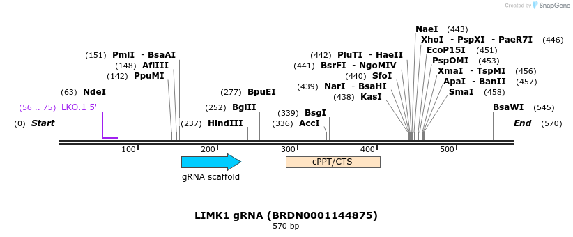 185075_map