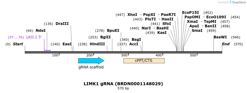 185079_map