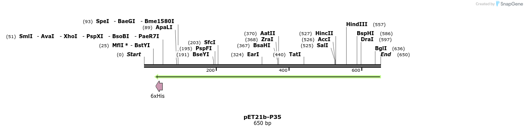 18508_map