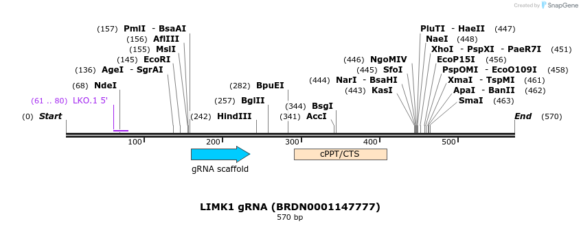 185081_map