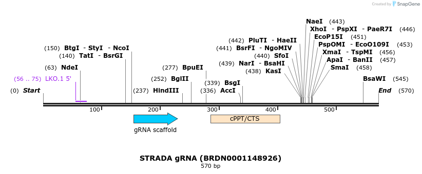 185091_map