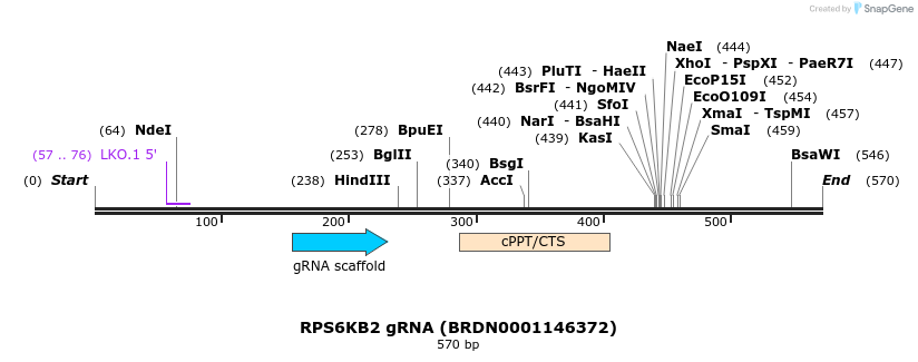 185097_map