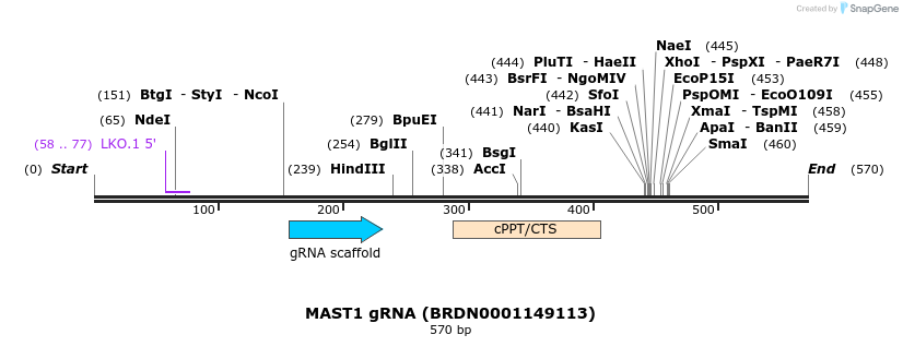 185225_map