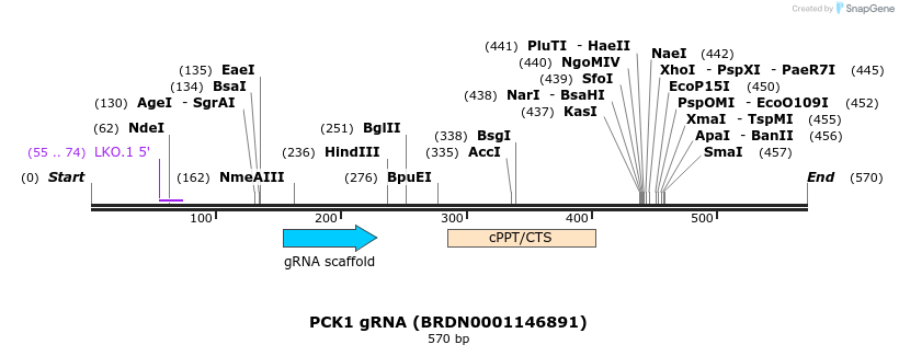 185547_map