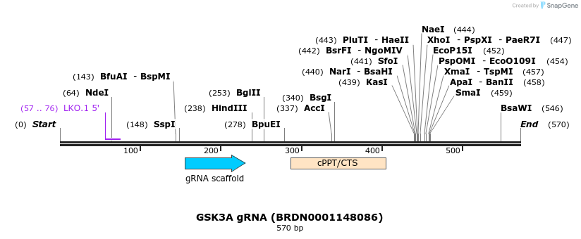 185709_map