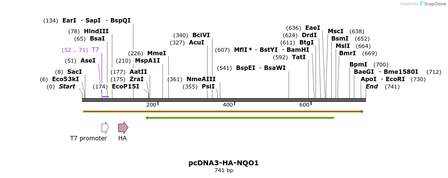18580_map