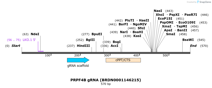 185823_map