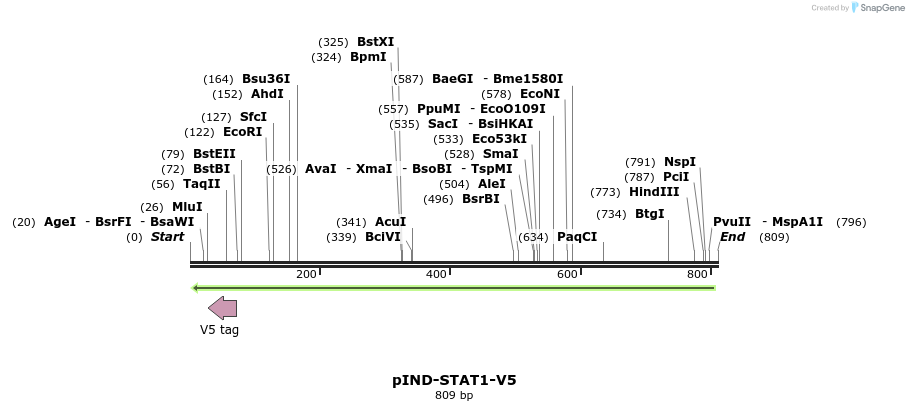 18586_map