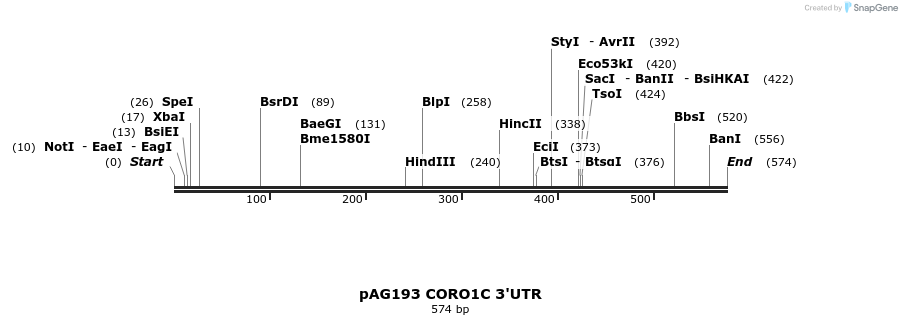 18591_map