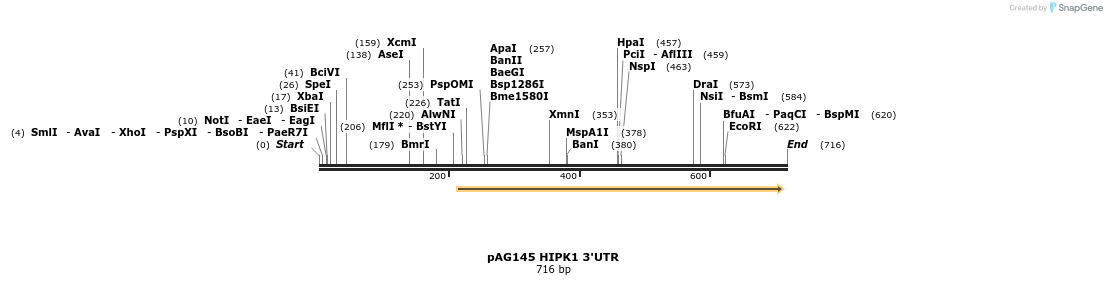 18596_map