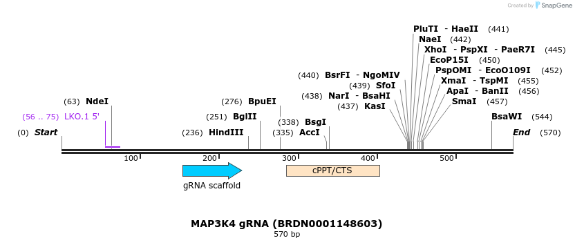 185979_map