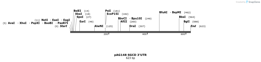 18599_map