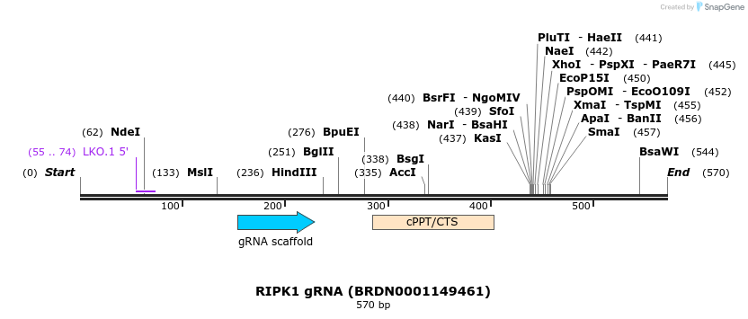 186015_map