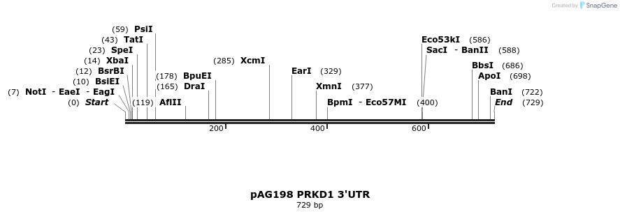 18603_map