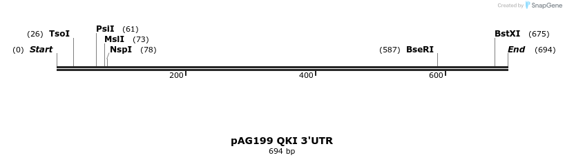 18604_map