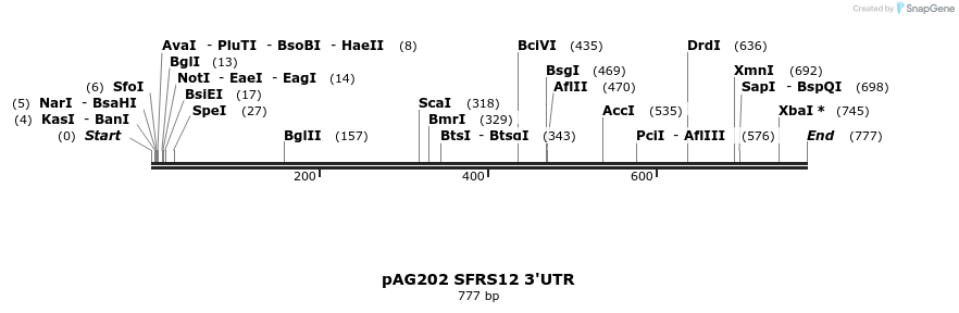 18606_map