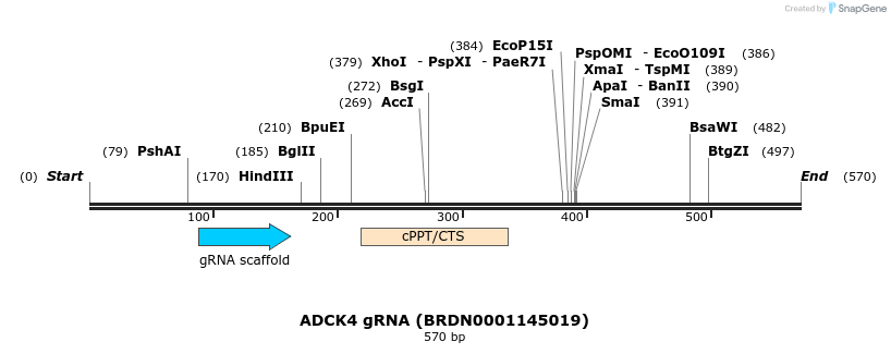 186069_map