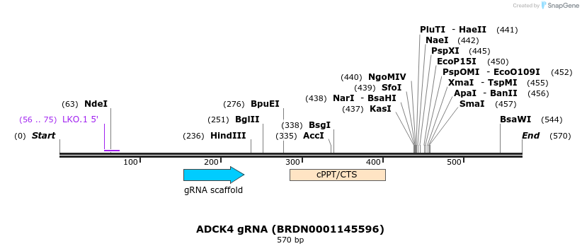 186073_map