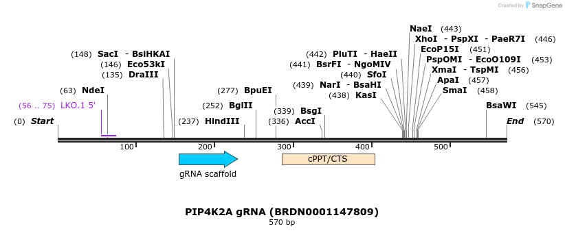 186095_map