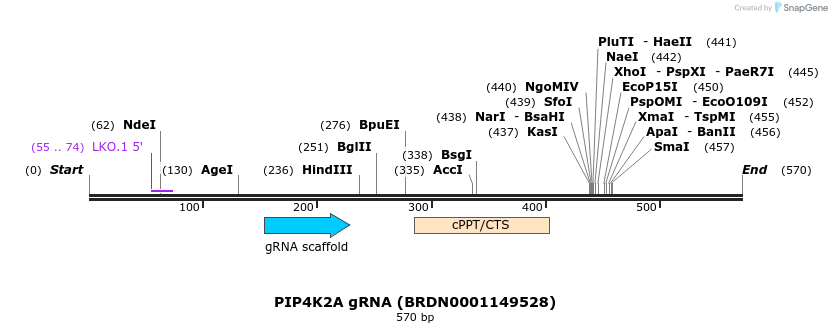 186097_map