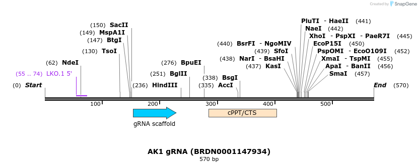 186103_map