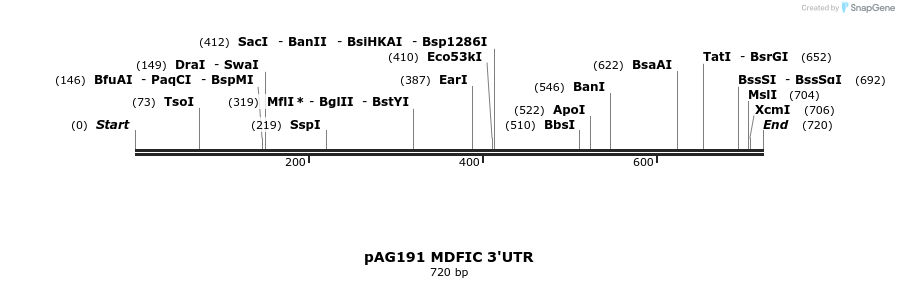 18611_map