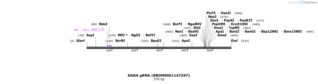 186155_map