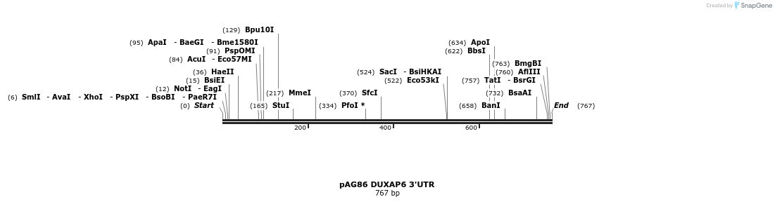 18620_map