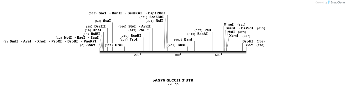 18622_map