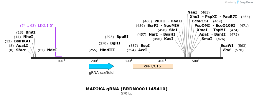 186239_map