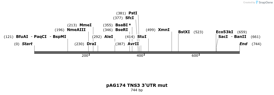 18625_map