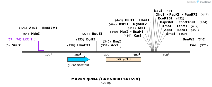 186367_map