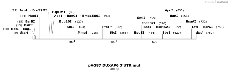 18653_map