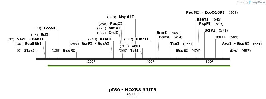 18657_map