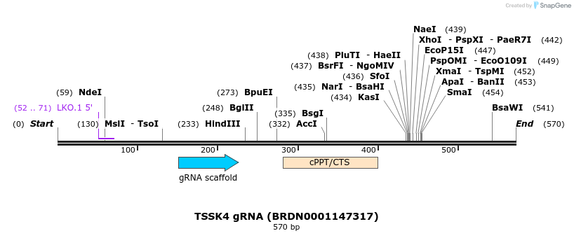 187007_map