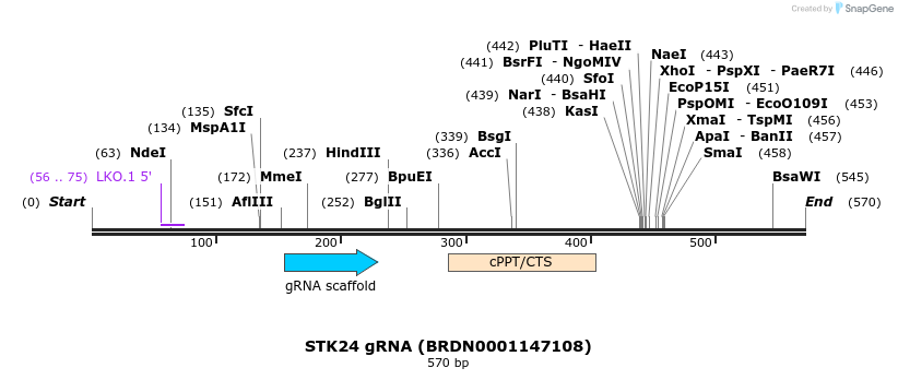 187027_map