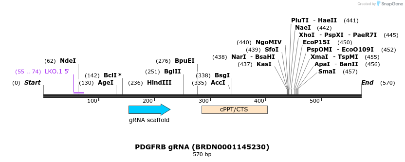 187039_map