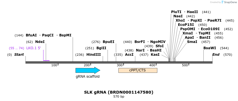 187051_map