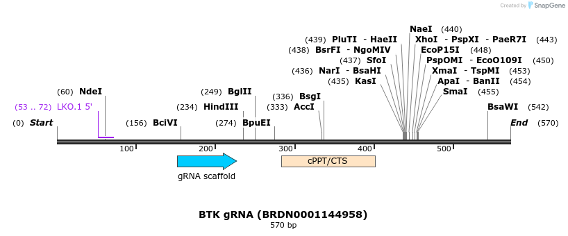 187059_map