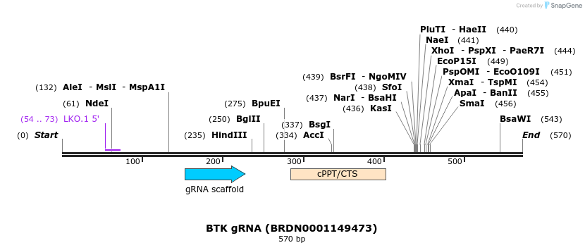 187065_map