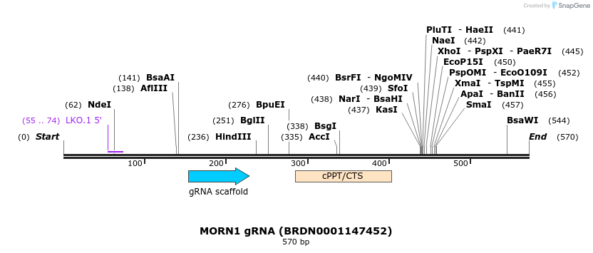 187073_map
