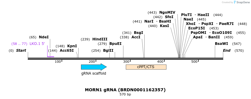 187077_map
