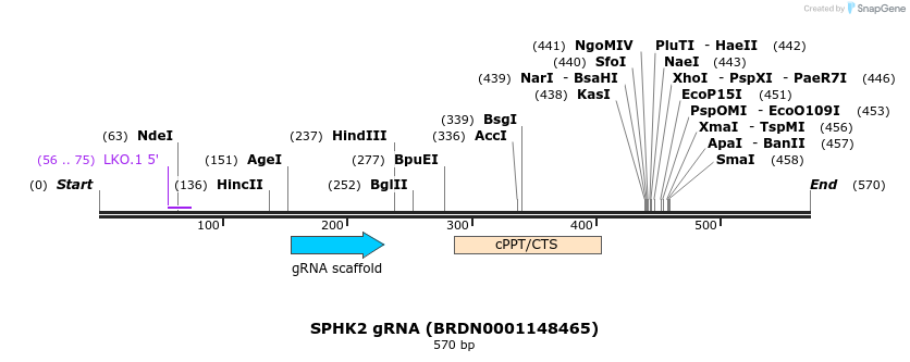 187101_map