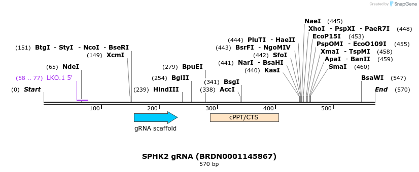 187103_map