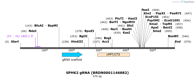 187107_map