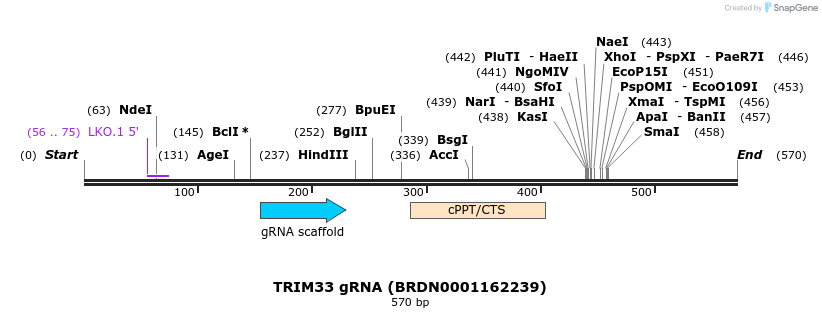 187111_map
