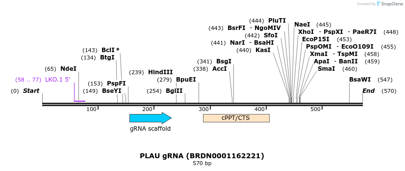 187123_map