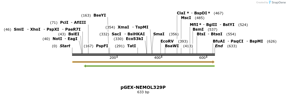 18717_map
