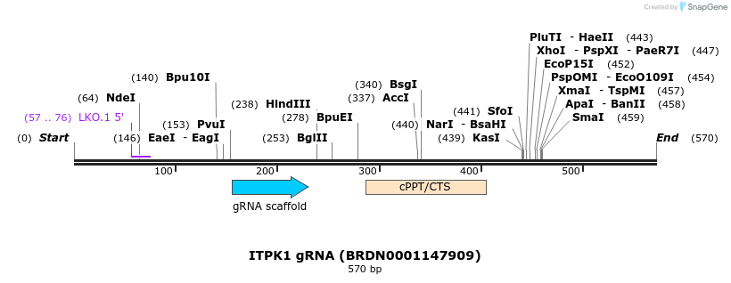 187209_map